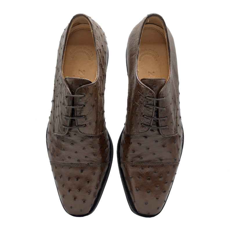 23-538-BRN ANDREA Ostrich Quill Lace Up, Brown Zelli Italia