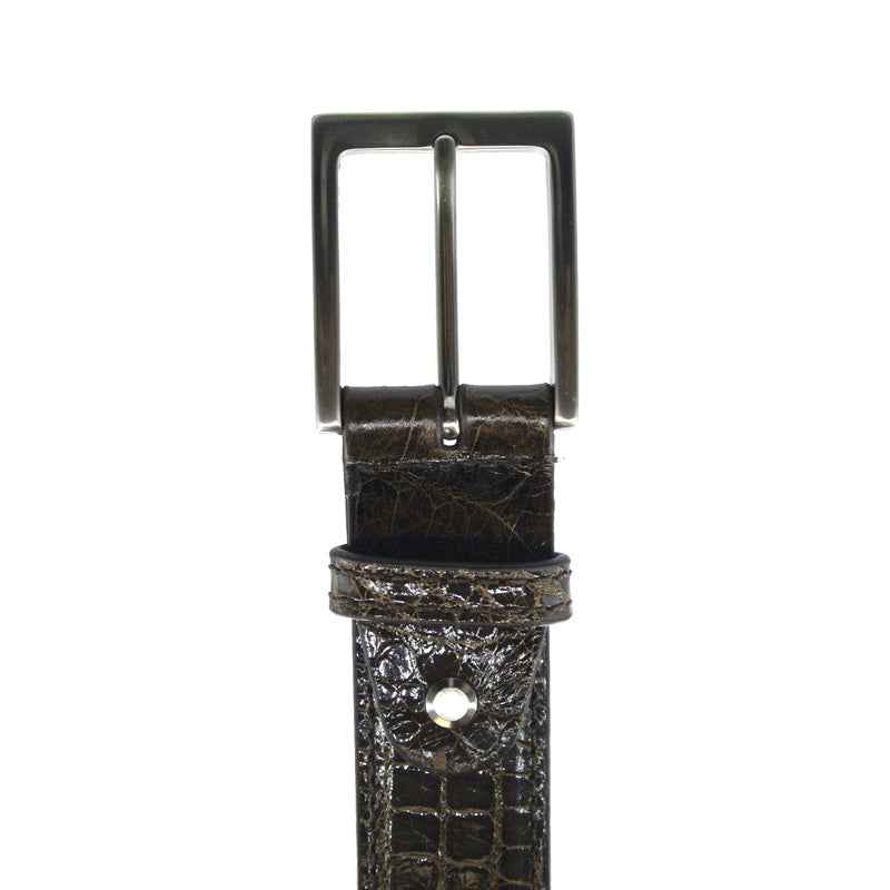 70-100-NIC ALLIGATOR Belt, Nicotine Zelli Italia