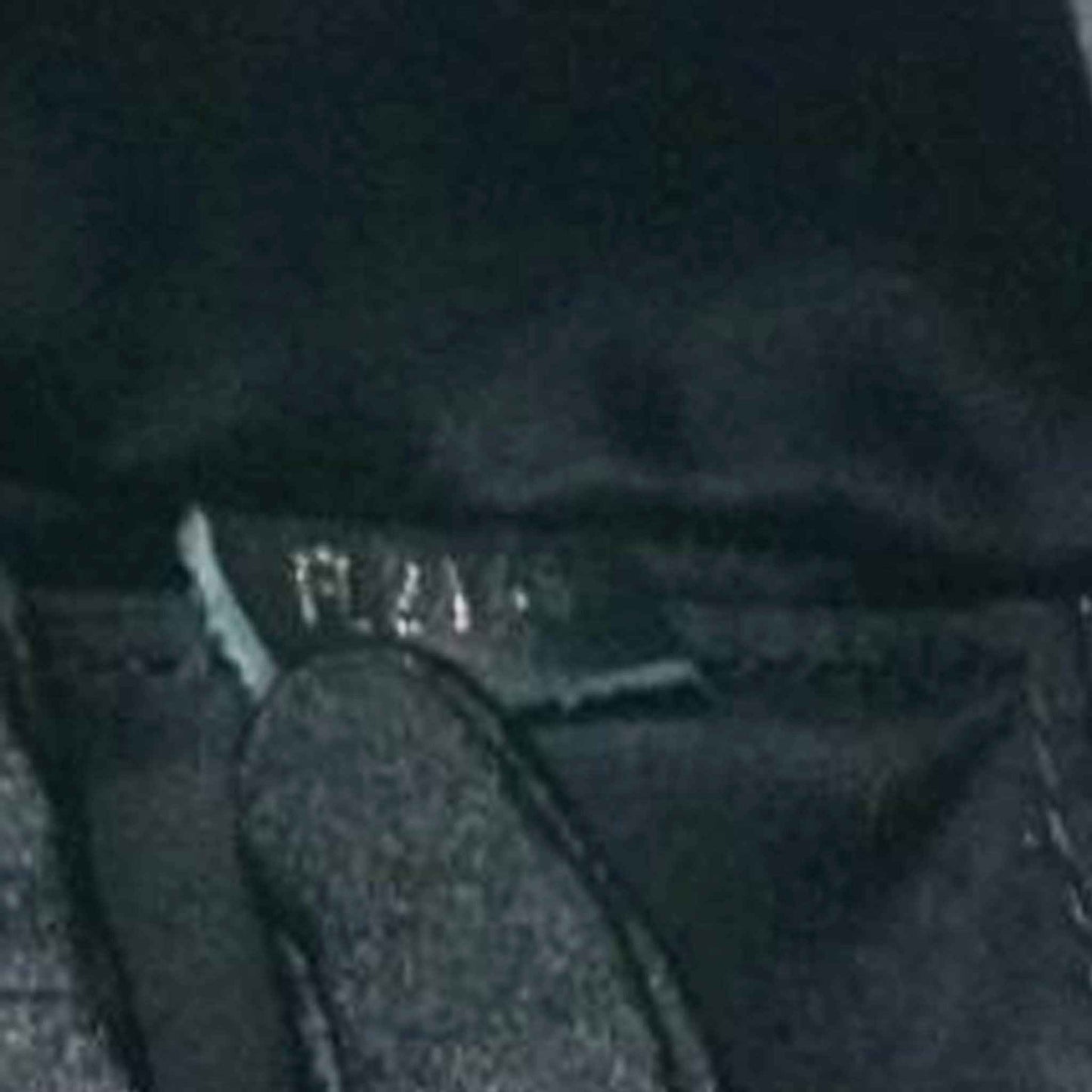 Wolvess Reverse Monogram Palm Springs Backpack PM