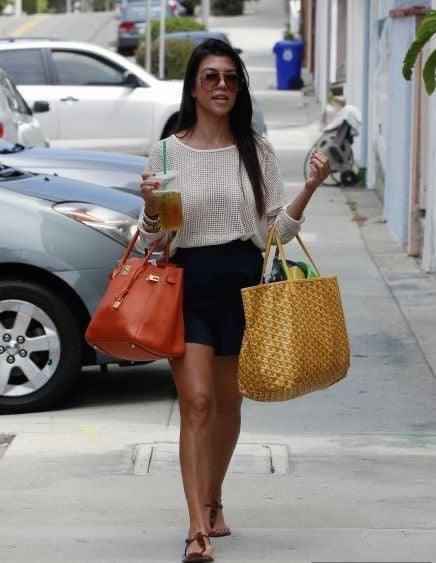 Sneakernational Goyard Bags - Elevate Your Style with Luxury and Elegance