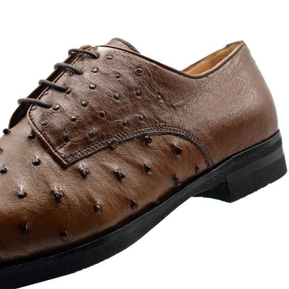 23-538-BDY ANDREA Ostrich Quill Lace Up, Brandy Zelli Italia