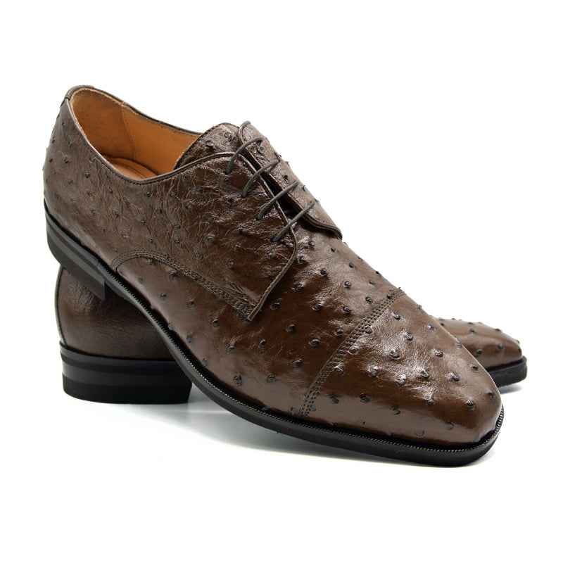 23-538-BRN ANDREA Ostrich Quill Lace Up, Brown Zelli Italia
