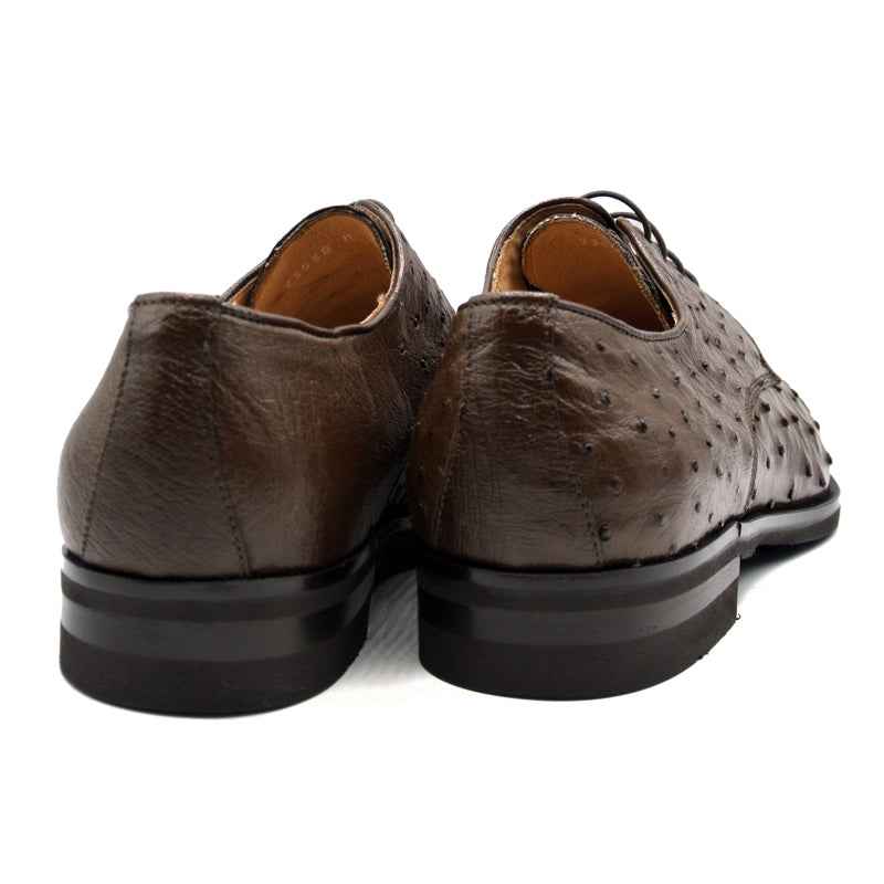 23-538-BRN ANDREA Ostrich Quill Lace Up, Brown Zelli Italia