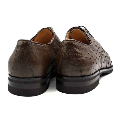 23-538-BRN ANDREA Ostrich Quill Lace Up, Brown Zelli Italia
