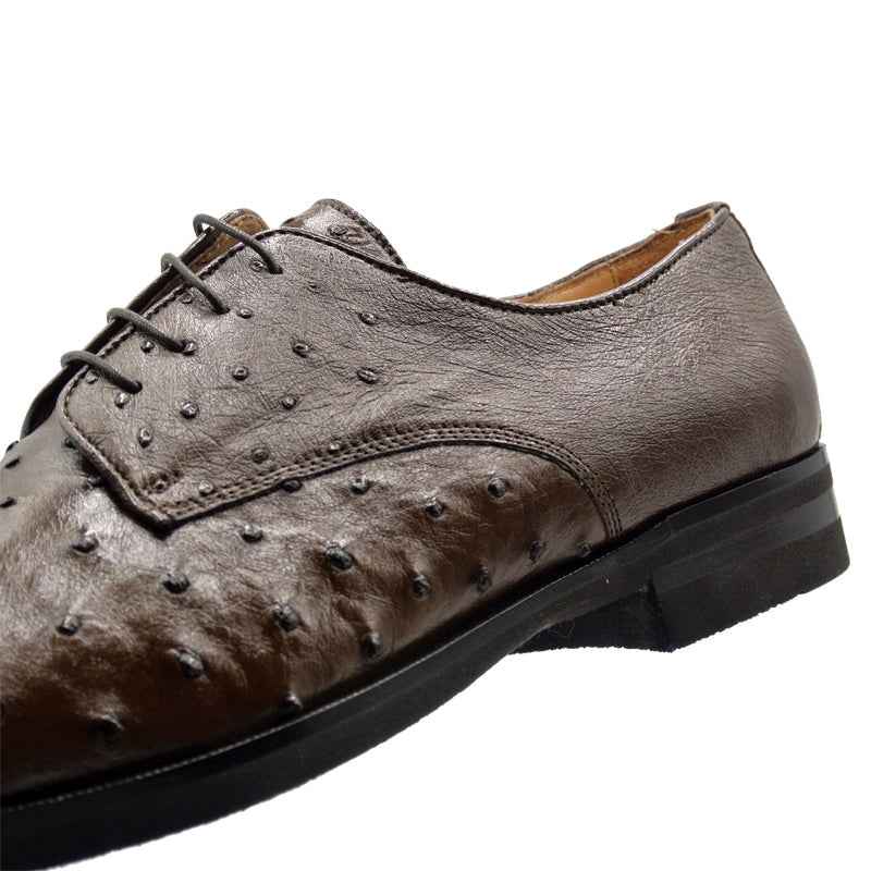 23-538-BRN ANDREA Ostrich Quill Lace Up, Brown Zelli Italia