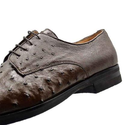 23-538-BRN ANDREA Ostrich Quill Lace Up, Brown Zelli Italia