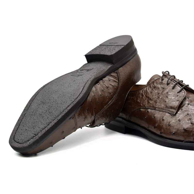 23-538-BRN ANDREA Ostrich Quill Lace Up, Brown Zelli Italia
