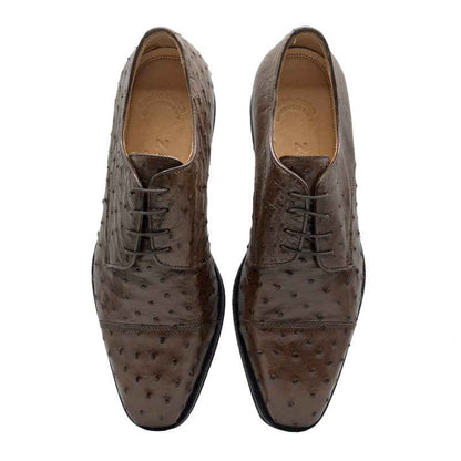 23-538-BRN ANDREA Ostrich Quill Lace Up, Brown Zelli Italia
