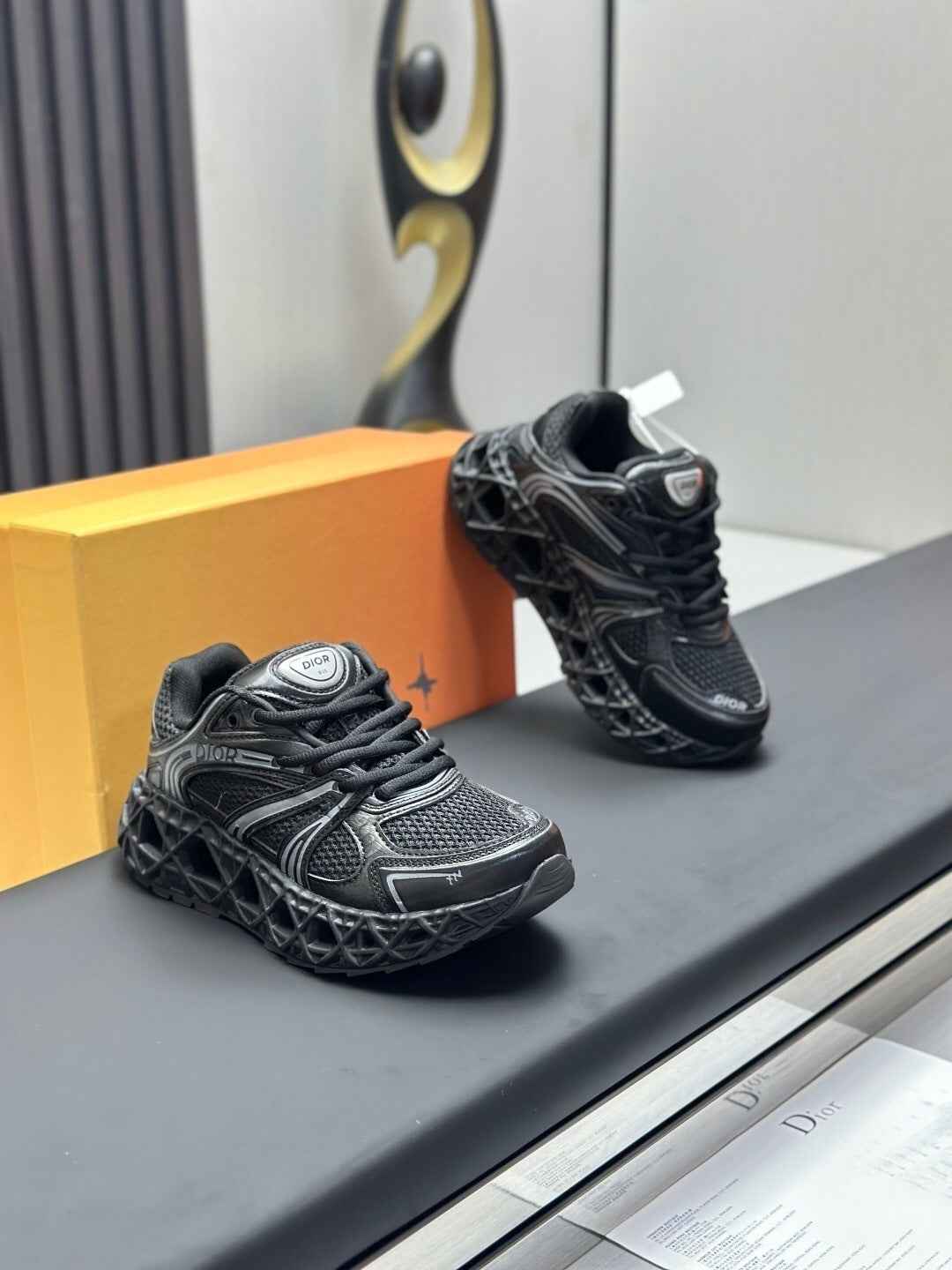 CD Dior B35 Sneaker 001