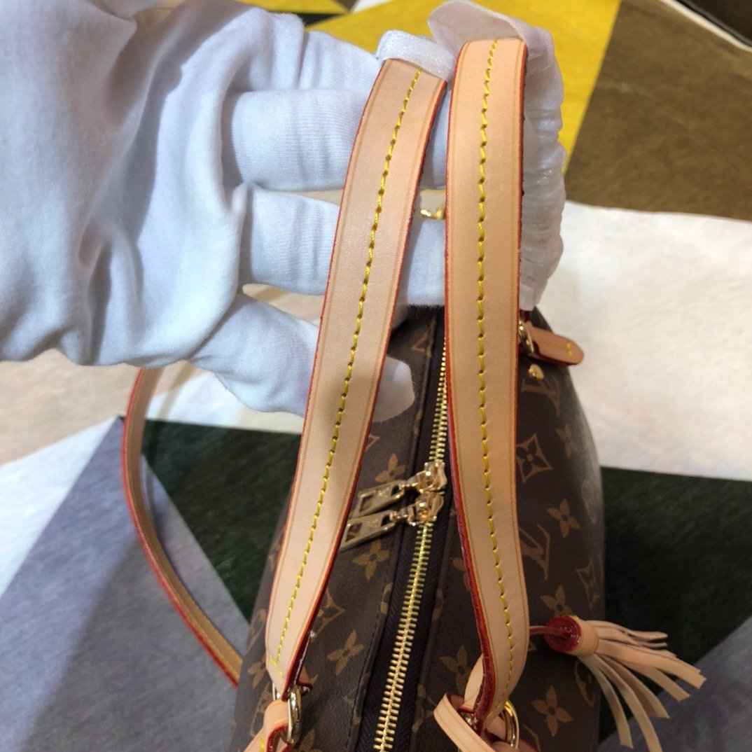 VL - Luxury Edition Monogram Bags LUV 246