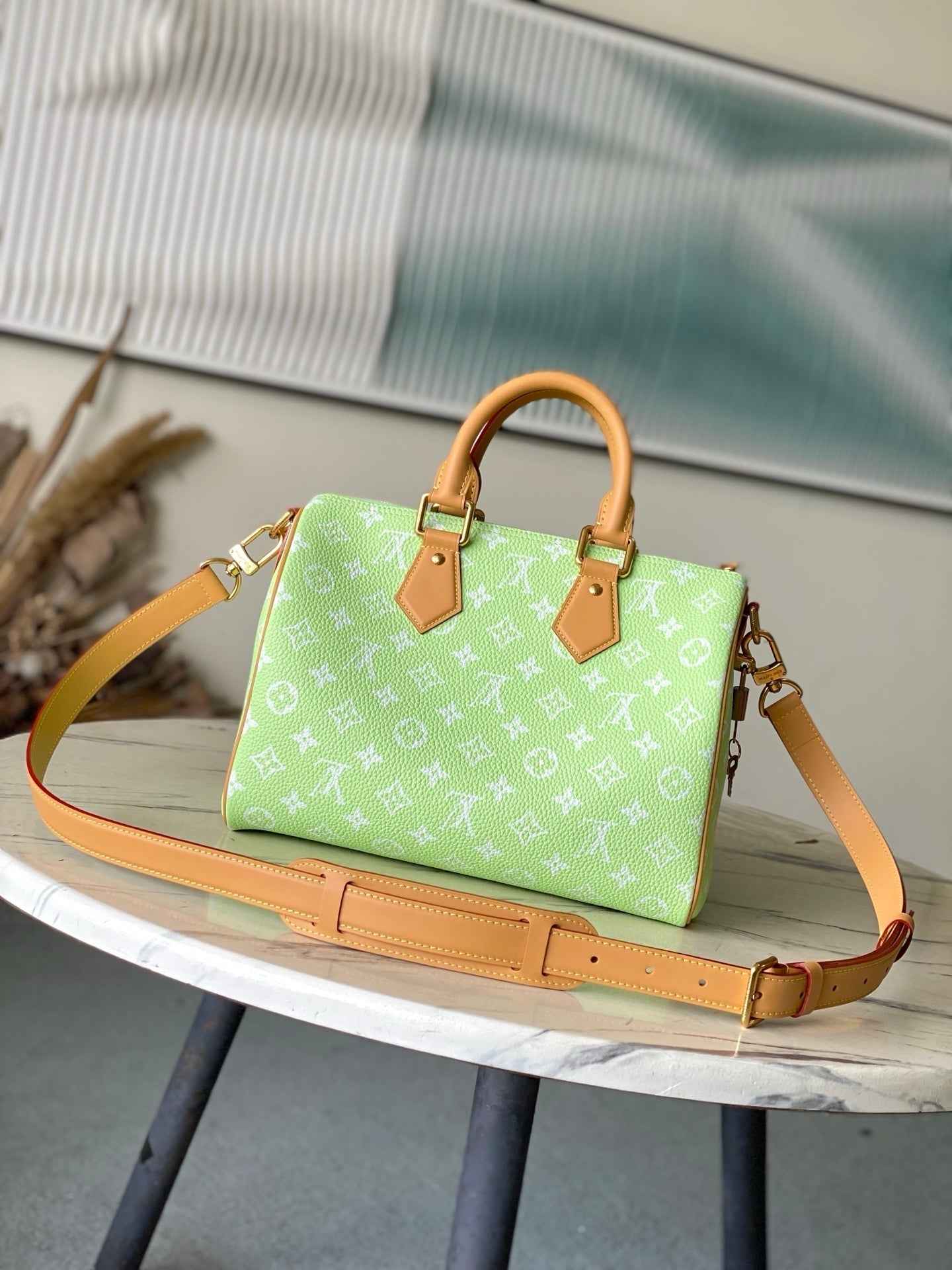 Wolvess Speedy Bandoulière 30 Pharrell Williams Monogram Leather M24435