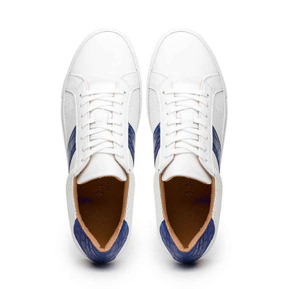61-101-NVY OLYMPIAS Italian Calfskin and Crocodile Stripe, Navy