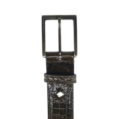 70-100-NIC ALLIGATOR Belt, Nicotine Zelli Italia