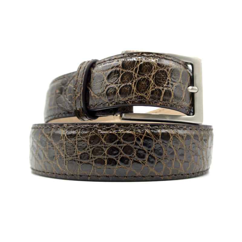 70-100-NIC ALLIGATOR Belt, Nicotine Zelli Italia