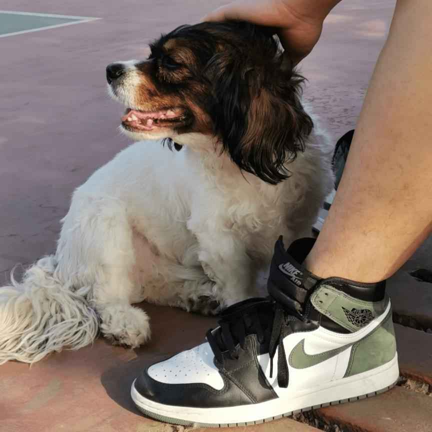 Custom Air Jordan 1 Clay Green Sneakers
