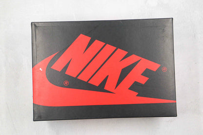 Custom Air Jordan 1 x DİOR High OG