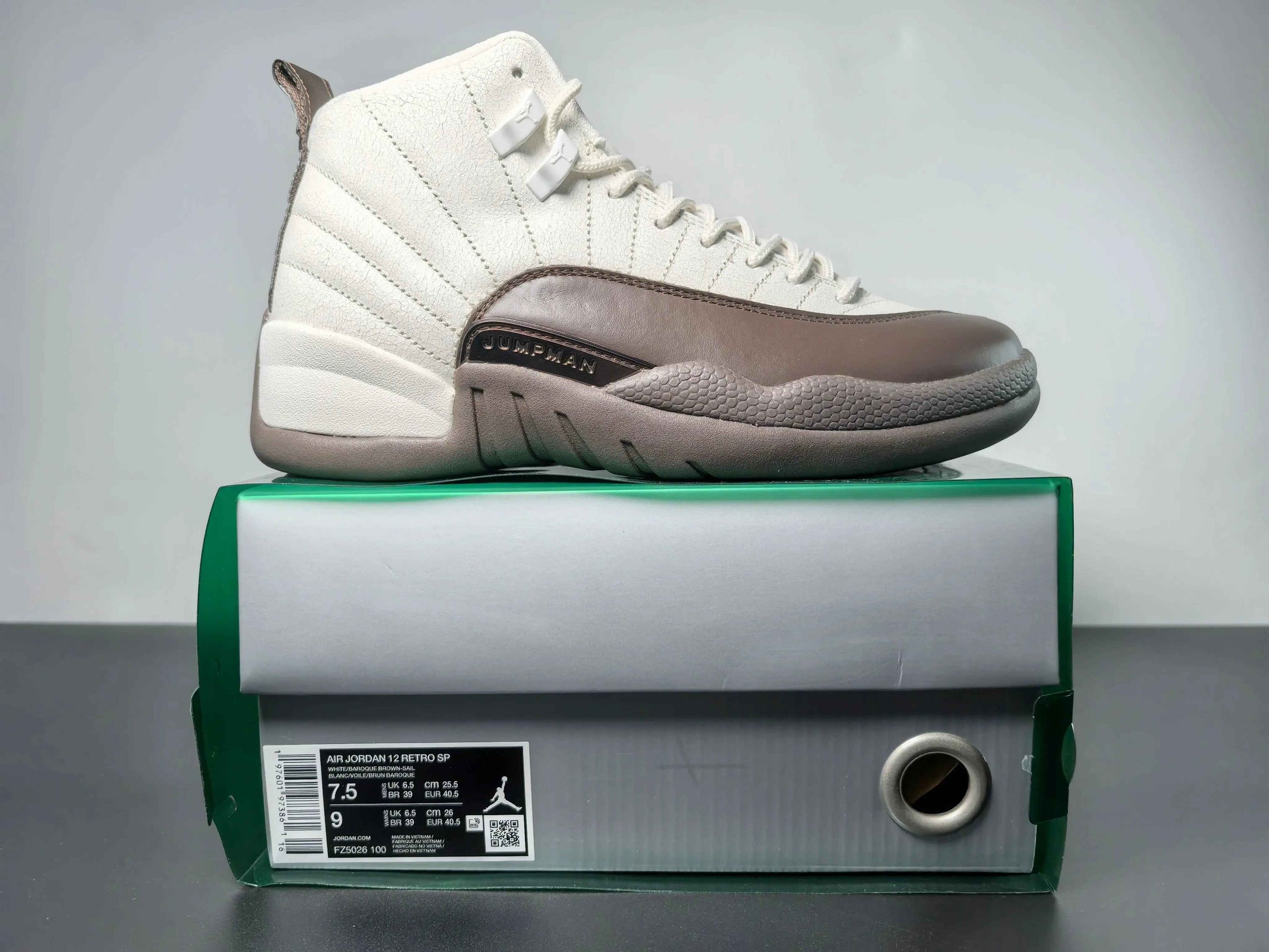 Custom Air Jordan 12 Sole Fly Cafe FZ5026-100