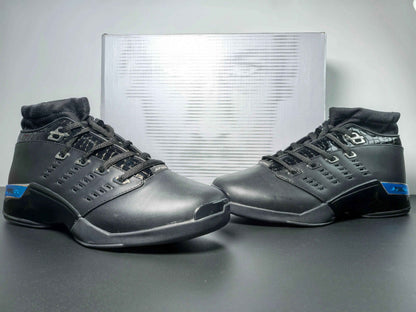 Custom Air Jordan 17 OG ' 303891-004