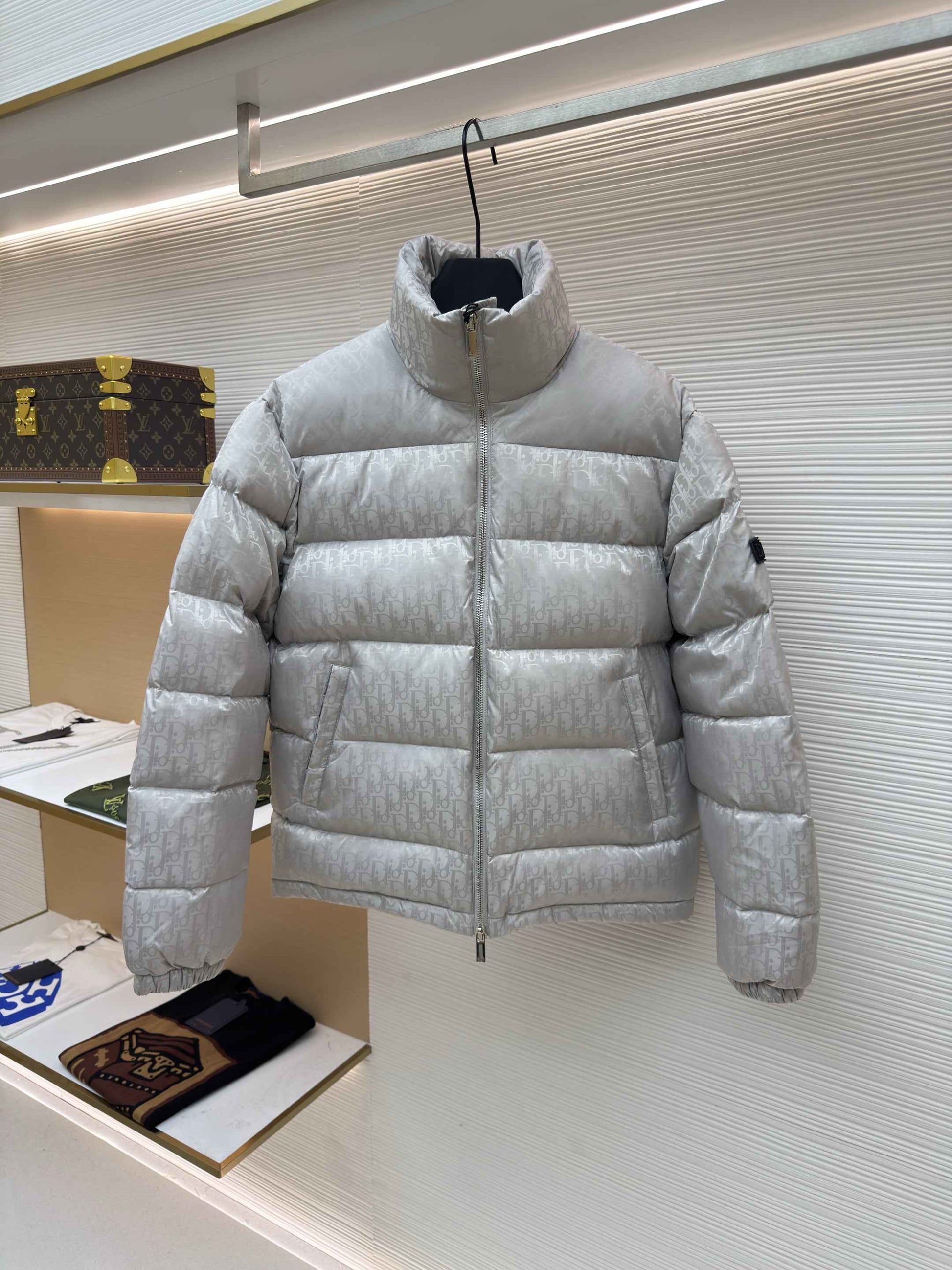 Dior Oblique Silver Technical Jacquard Down Jacket