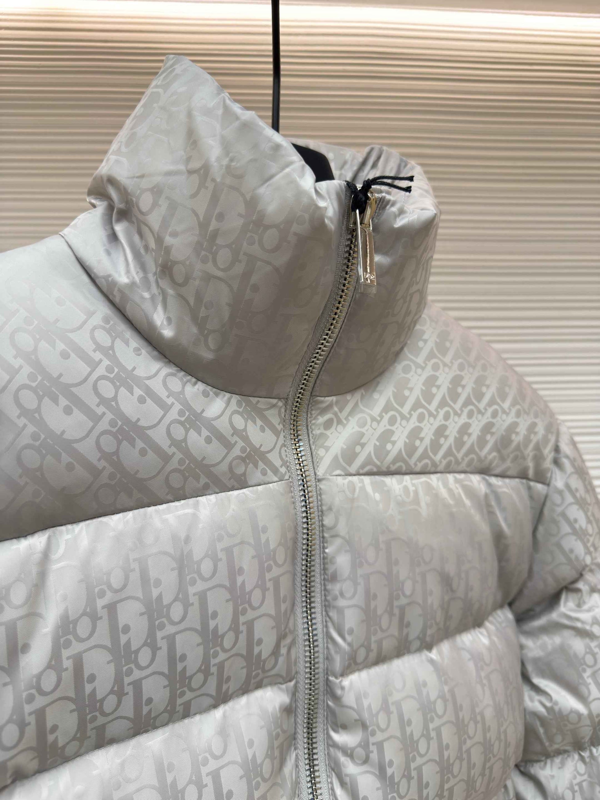 Dior Oblique Silver Technical Jacquard Down Jacket