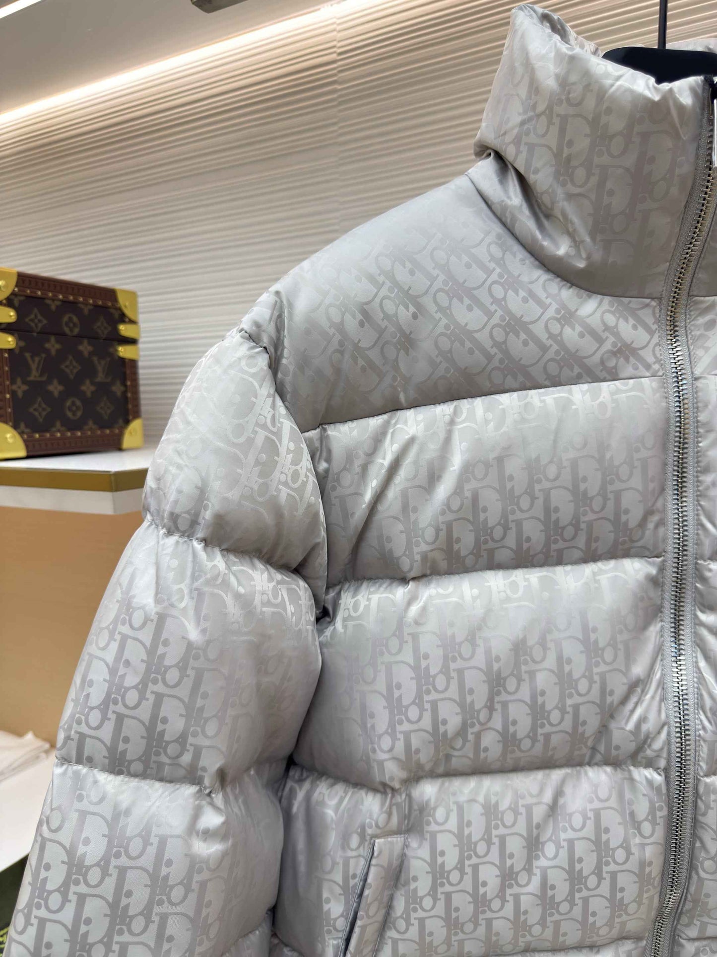 Dior Oblique Silver Technical Jacquard Down Jacket