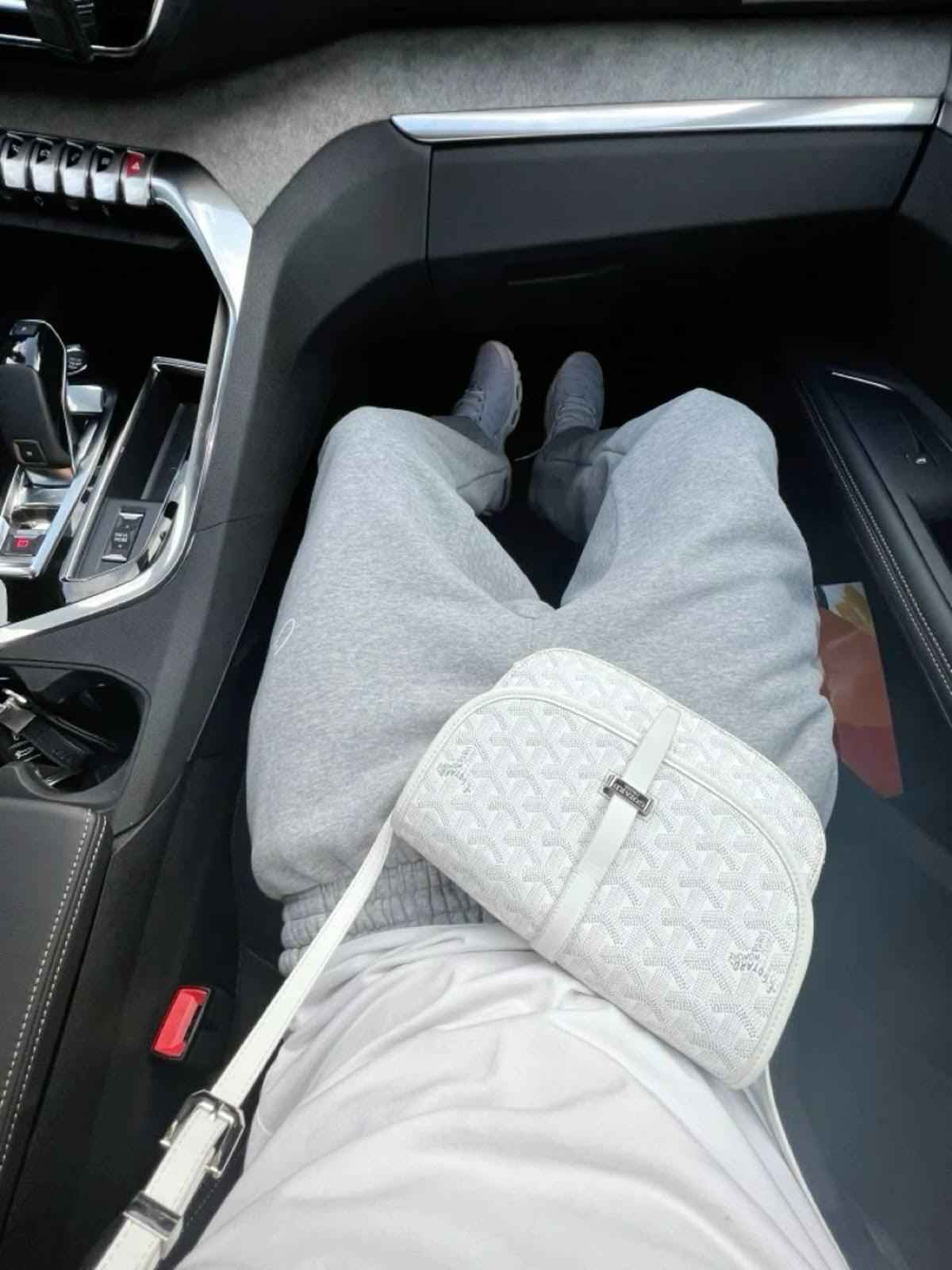 Sneakernational Goyard Bags - GOYARD BeLuViédère Bags - 020198-5