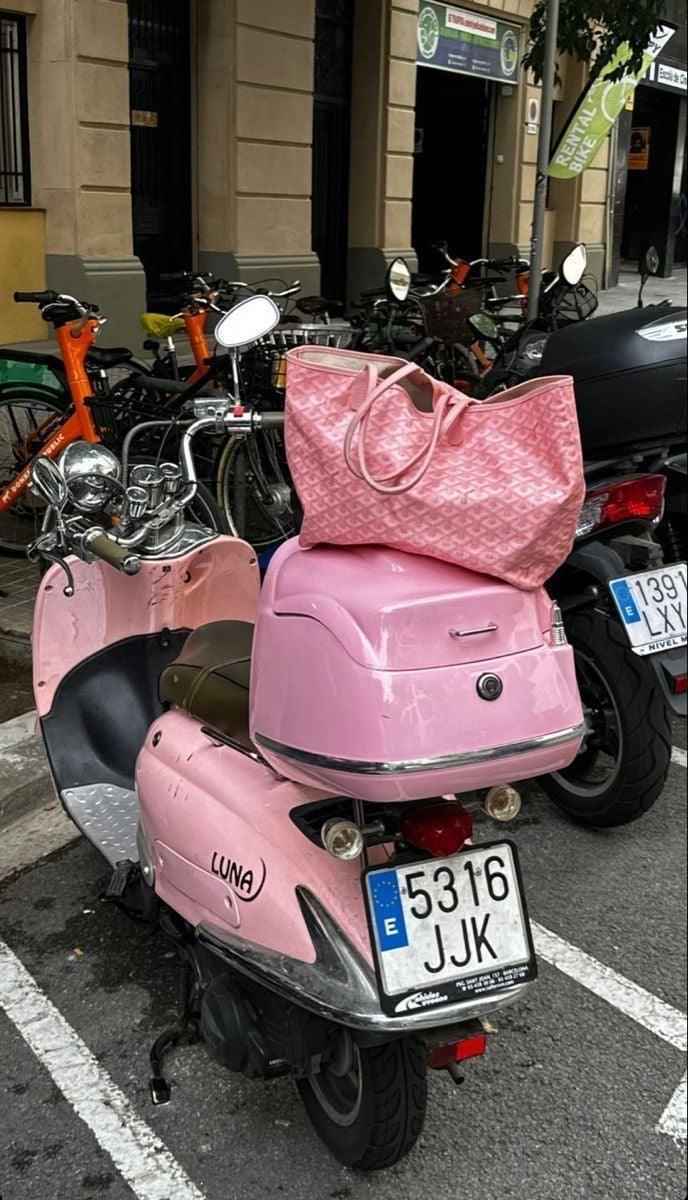 Sneakernational Goyard Bags - Goyard GOD Bags - 236