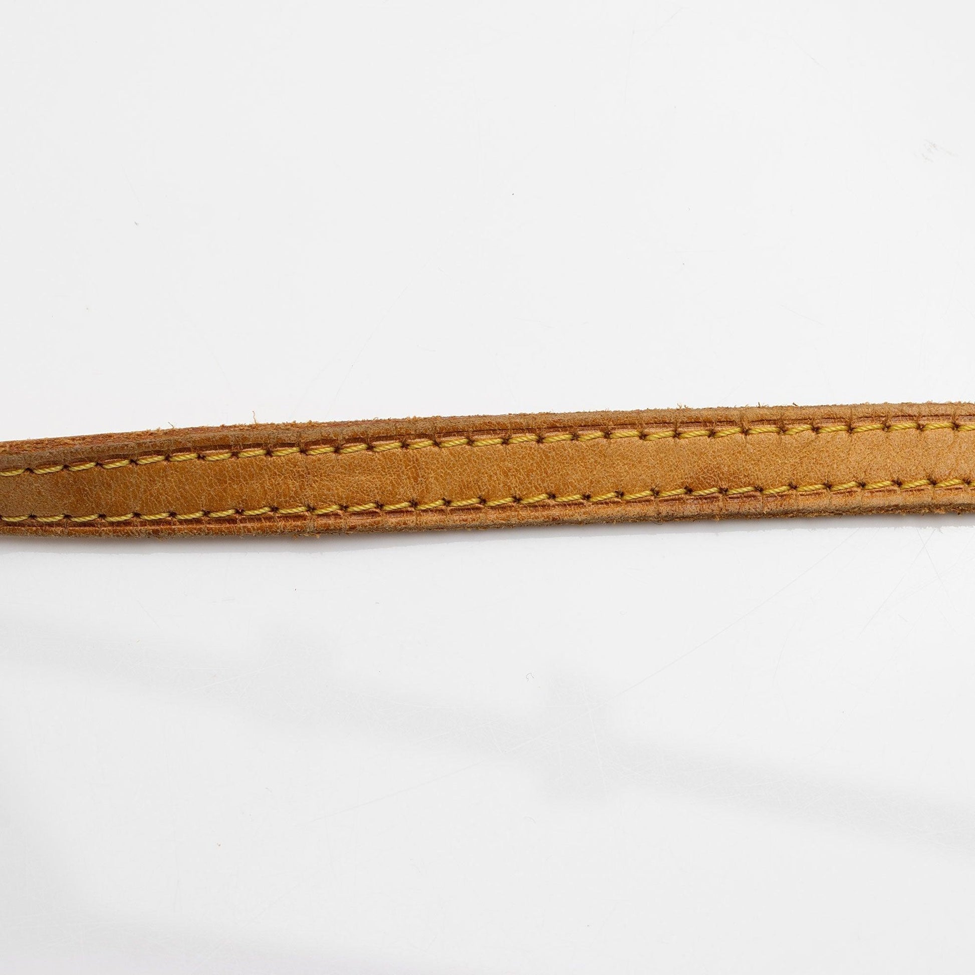 Louis Vuitton Monogram Canvas Pochette Twin GM Shoulder Bag Makersluxe