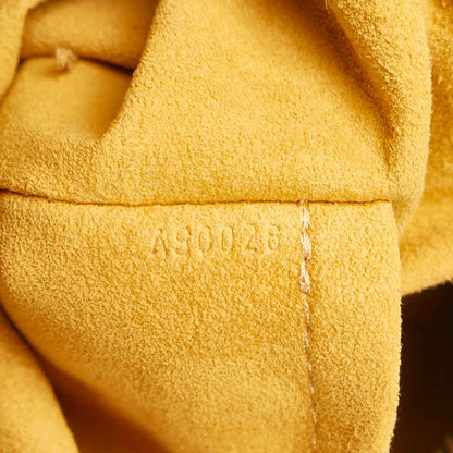 Louis Vuitton Monogram Denim Baggy PM