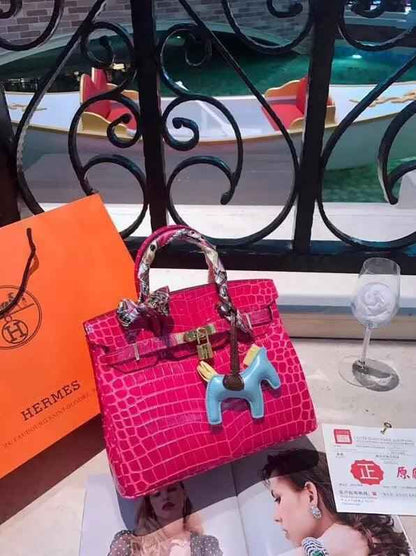 Sneakernational - Birkin Bag 0016