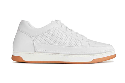 CALTO - Y7932 - 2.6 Inches Taller (White/Off-White & Gum Sole) - Elevated Micro-Perforated Leather Sneakers Tallmenshoes.com