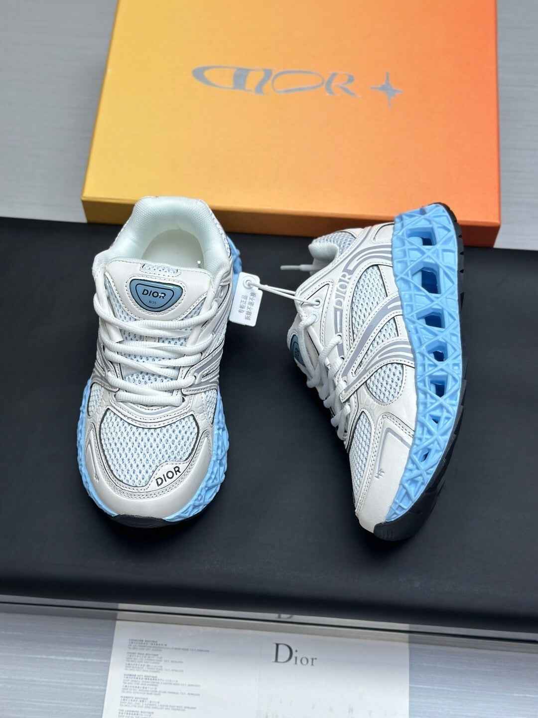 CD Dior B35 Sneaker 004