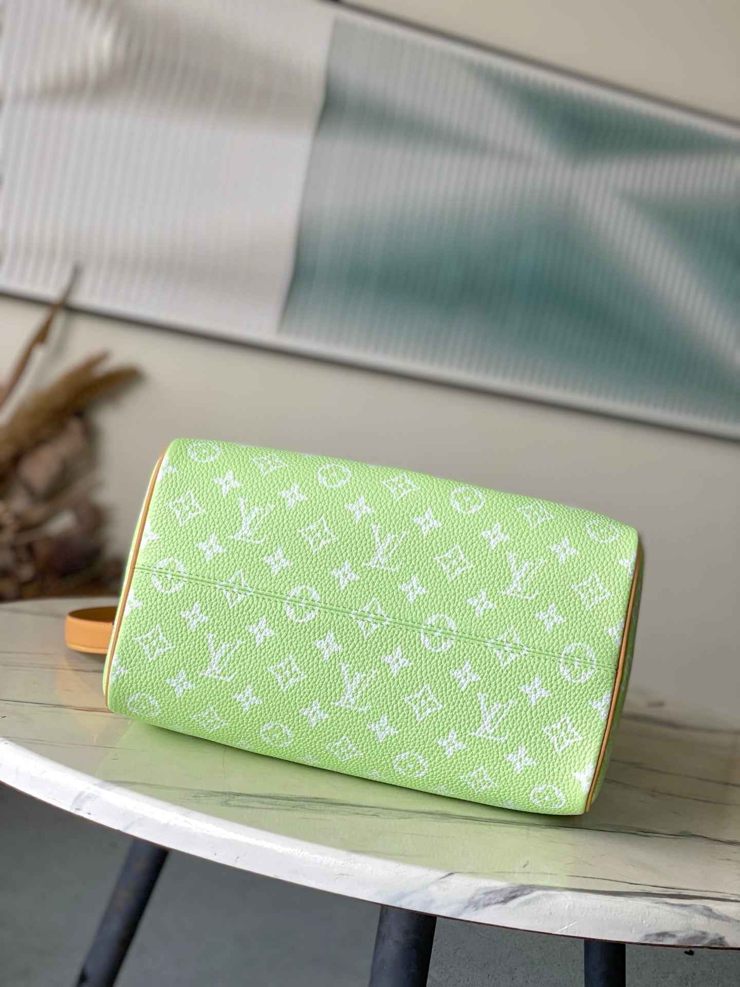 Wolvess Speedy Bandoulière 30 Pharrell Williams Monogram Leather M24435